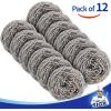 MR.SIGA Stainless Steel Scourer,Pack of 12,30g